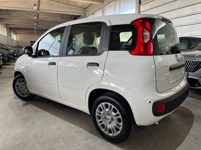 FIAT Panda usata, con Alzacristalli elettrici