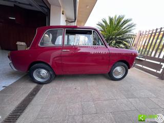 AUTOBIANCHI Bianchina usata 7