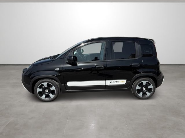 FIAT Pandina usata, con Climatizzatore