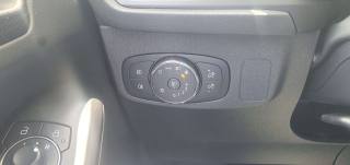FORD Focus usata, con Fendinebbia