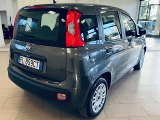 FIAT Panda usata, con Autoradio