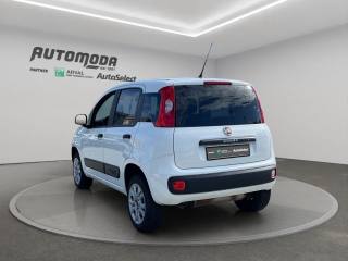 FIAT Panda usata, con Controllo trazione
