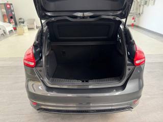 FORD Focus usata, con Cronologia tagliandi