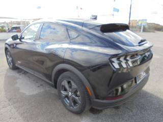 FORD Mustang Mach-E usata, con Autoradio