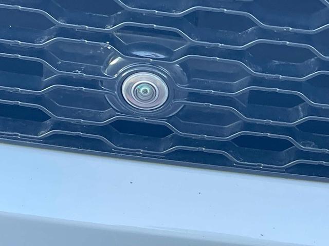 LAND ROVER Range Rover Evoque usata 28