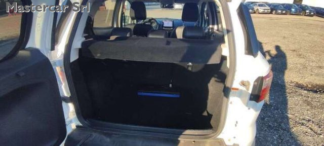 FORD EcoSport usata, con Servosterzo