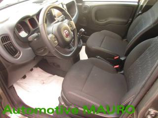 FIAT Panda Cross usata, con Fendinebbia