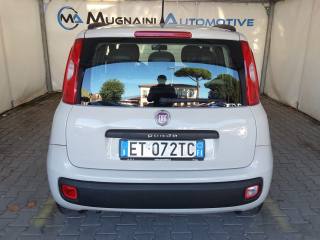 FIAT Panda usata, con Servosterzo