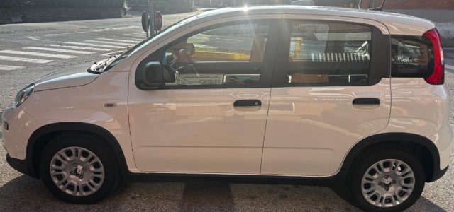 FIAT Panda usata, con Climatizzatore
