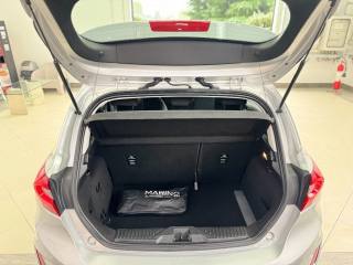 FORD Fiesta usata, con Immobilizzatore elettronico