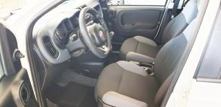 FIAT Panda usata, con Chiusura centralizzata
