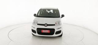 FIAT Panda usata 47