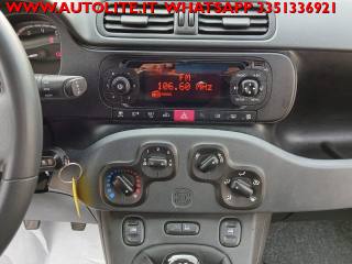 FIAT Panda usata, con Trazione integrale