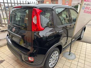 FIAT Panda usata, con Alzacristalli elettrici