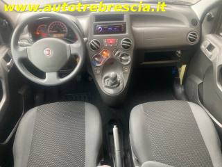 FIAT Panda usata 6