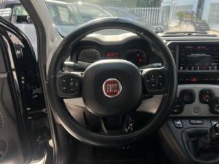 FIAT Panda Cross usata, con Volante multifunzione