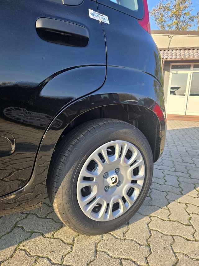 FIAT Panda usata, con Servosterzo
