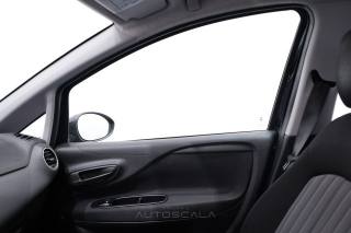 FIAT Punto usata 19
