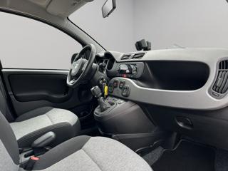 FIAT Panda usata, con Fendinebbia