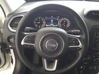 JEEP Renegade usata, con Boardcomputer