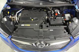 OPEL Grandland X usata, con Luci diurne LED