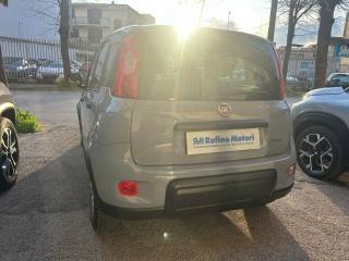 FIAT Panda usata, con Autoradio