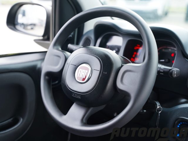 FIAT Panda usata 12