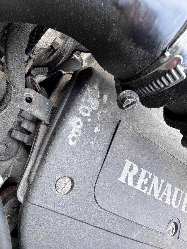 RENAULT Kangoo usata 19