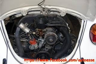 VOLKSWAGEN Maggiolone usata 8