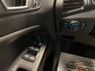 FORD EcoSport usata, con Volante in pelle