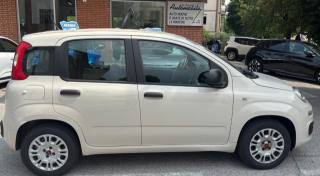 FIAT Panda usata, con Airbag Passeggero