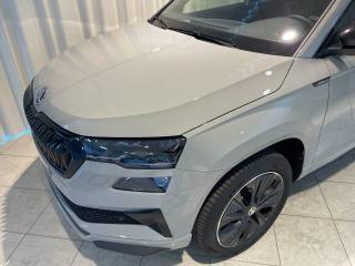 SKODA Karoq usata, con Park Distance Control
