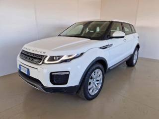 LAND ROVER Range Rover Evoque 2.0 TD4 150 CV 5p. SE