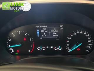 FORD Focus usata 12