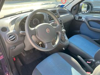 FIAT Panda usata 13