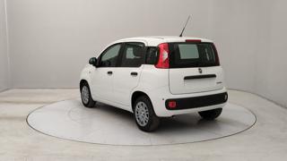 FIAT Pandina usata, con Airbag laterali