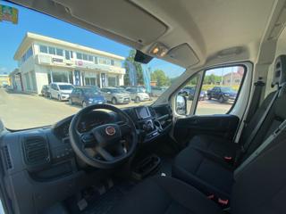 FIAT Ducato usata 40