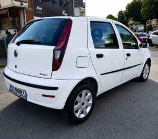 FIAT Punto usata, con Cerchi in lega