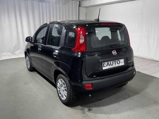 FIAT Panda usata, con Airbag Passeggero