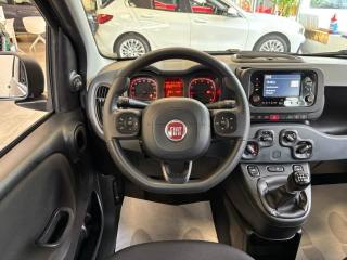 FIAT Panda usata, con Controllo trazione