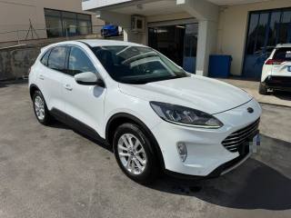 FORD Kuga 1.5 EcoBlue 120 CV 2WD Titanium  MACERATA