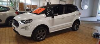 FORD EcoSport usata, con Antifurto