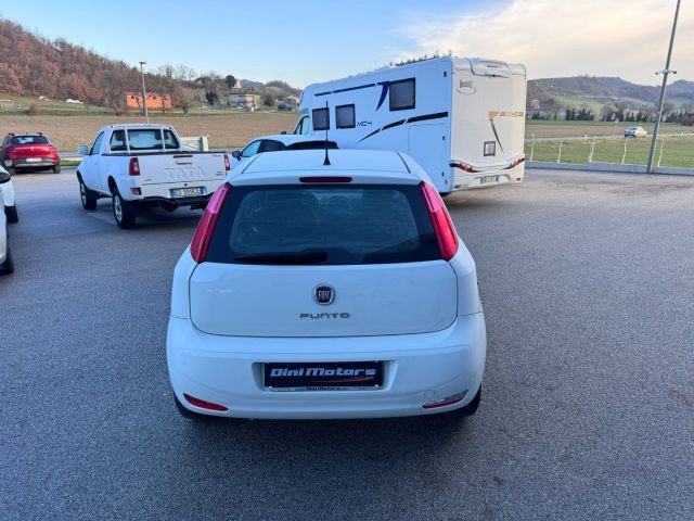 FIAT Punto usata, con Controllo trazione