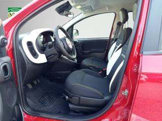 FIAT Panda Cross usata 21