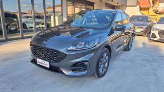 FORD Kuga 1.5 EcoBlue 120 CV aut. 2WD ST-Line N1 AUTOCARRO