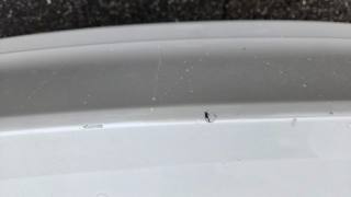 BMW 318 usata, con Cerchi in lega