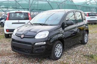 FIAT Panda 1.0 FireFly S&S Hybrid Pop