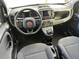 FIAT Panda Cross usata 4