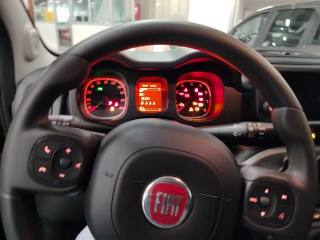 FIAT Panda Cross usata 17