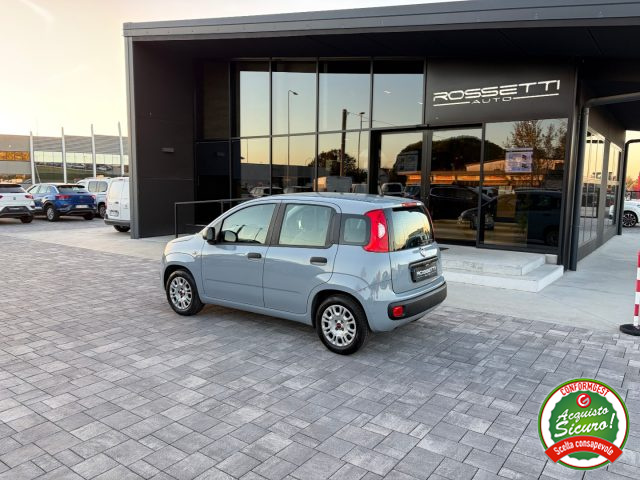 FIAT Panda usata, con Cronologia tagliandi